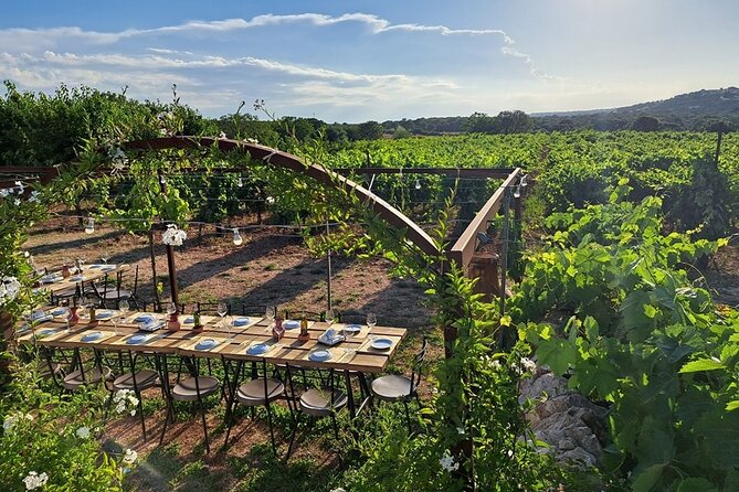 Wine Experience: vineyard, wines and food - Getting there and getting back