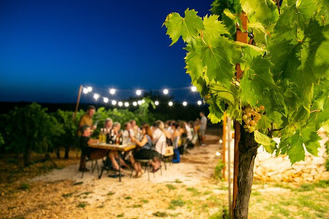 Wine Experience: vineyard, wines and food - Apulian food served with the wine