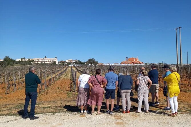 Wine Lovers: Winery Tour w/ Tasting & Tapas (Albufeira/Vilamoura) - Four wines, Portuguese cheese, and charcuterie