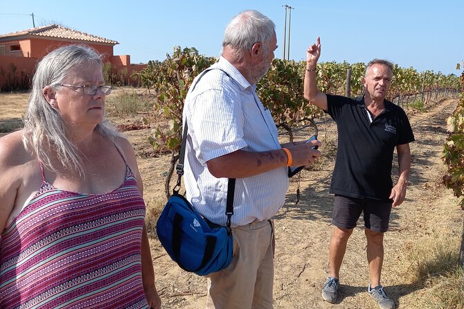 Wine Lovers: Winery Tour w/ Tasting & Tapas (Albufeira/Vilamoura) - From Albufeira or Vilamoura to the vineyard