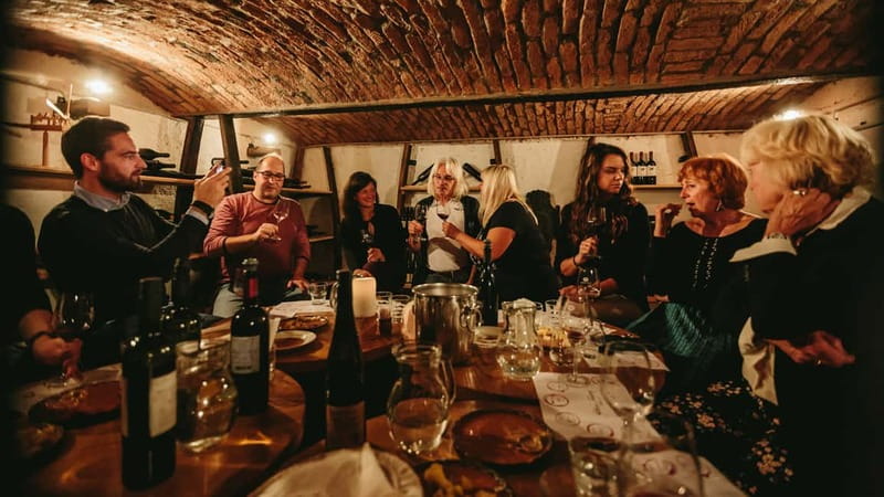 Wine Tasting Bled with a sommelier - The opening lesson on Slovenian wine regions