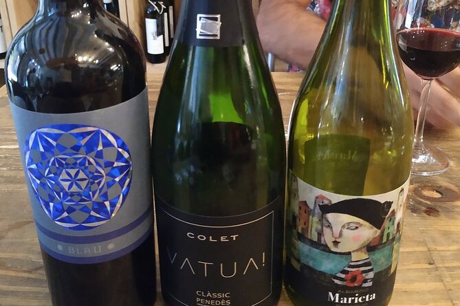 Wine Tasting Experience in Barcelona - A short lesson in Spanish wine