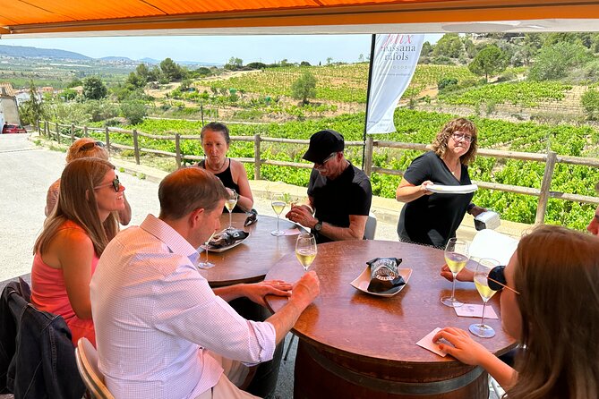 Wine Tasting in Three Boutique Wineries Tour - Max 8 people - Lunch in Pacs del Penedès