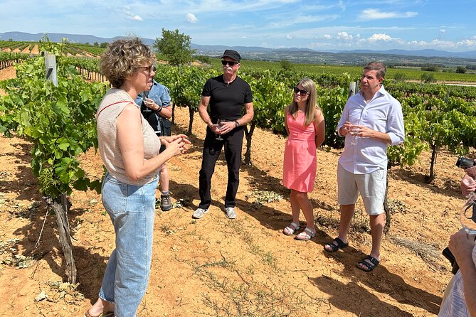 Wine Tasting in Three Boutique Wineries Tour - Max 8 people - Pares Baltà, Organic and Biodynamic Winemaking