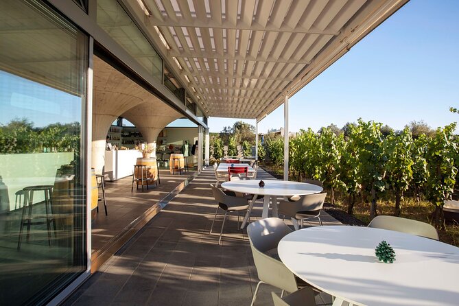 Wine tasting THE CLASSICS - Why the views change the value of the visit