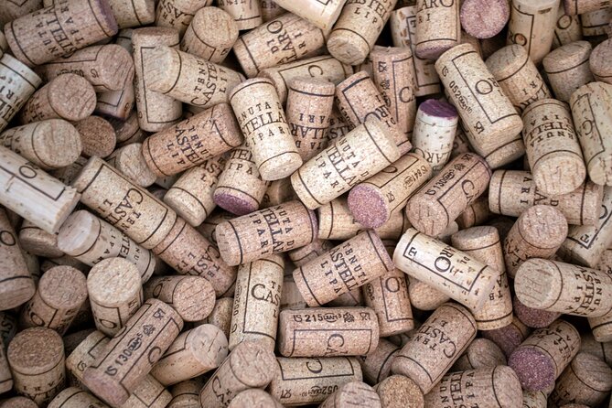 Wine tasting THE CLASSICS - What the two-hour schedule means