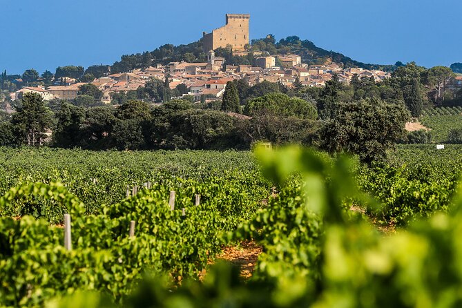 Wine Tasting Tour at Châteauneuf du Pape - Key points at a glance