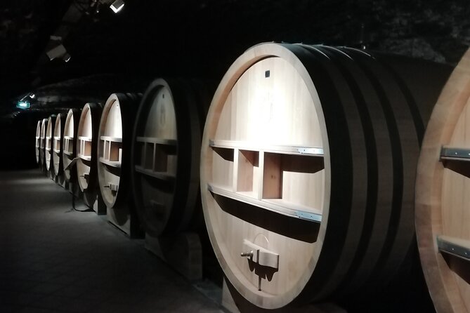 Wine Tasting Tour at Châteauneuf du Pape - Timing, meeting point, and cruise-day planning