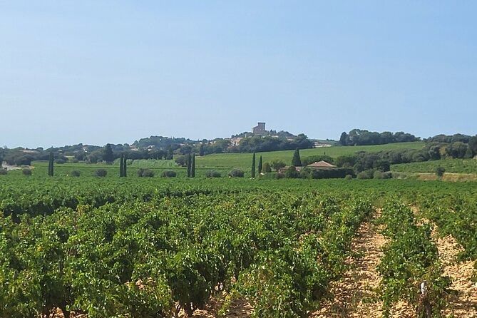 Wine Tasting Tour at Châteauneuf du Pape - Practical tips for a better afternoon