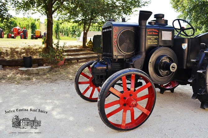 Wine Tour and Tasting at Le Marche's Oldest Wine Estate - A private visit with a personal feel