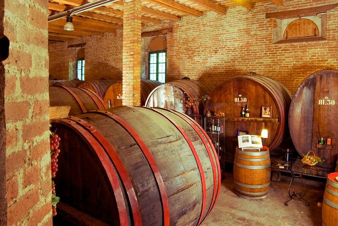 Wine Tour and Tasting at Le Marche's Oldest Wine Estate - Walking among 45 hectares of vines