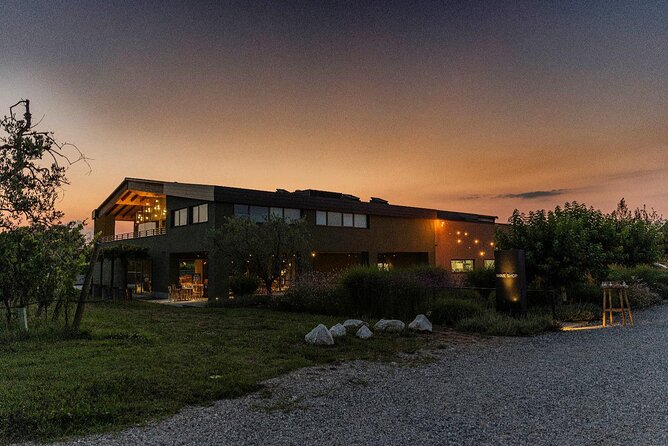 Wine Tour and Tasting of Lugana Wines in Desenzano - A short winery visit near Desenzano