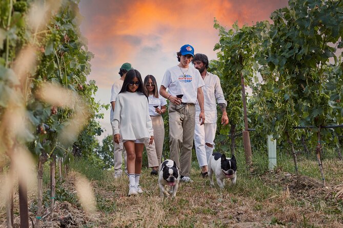 Wine Tour and Tasting of Lugana Wines in Desenzano - Four wines from Lugana and Valtenesi