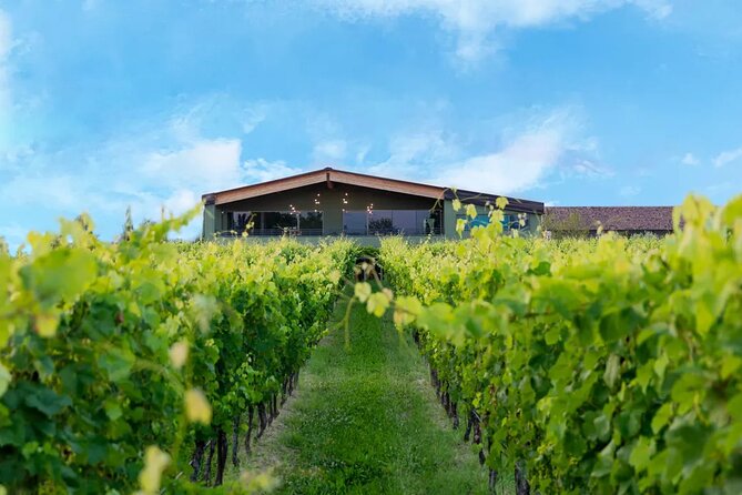 Wine Tour and Tasting of Lugana Wines in Desenzano - Cold cuts, cheeses, and the value of the tasting