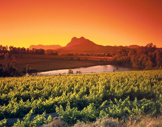 Wine Tour: Paarl, Franschhoek & Stellenbosch incl 3 wineries - A meaningful pause at Drakenstein Prison