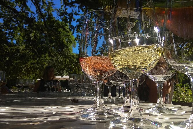 Wine Tour to Stellenbosch & Franschhoek with Tastings & Lunch - Key things to know before you book