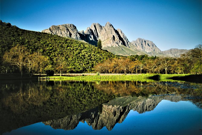 Wine Tour to Stellenbosch & Franschhoek with Tastings & Lunch - Stellenbosch: a short walk through a historic wine town