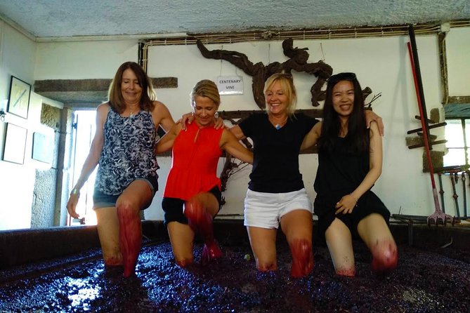 Wine Venture and Boat Trip in Douro Valley from Porto - Who should book this day out of Porto?