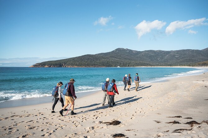 Wineglass Bay Cruise from Coles Bay - Wineglass Bay and the famous white sand