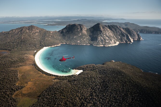 Wineglass Bay Cruise from Coles Bay - Wildlife watching without a promise