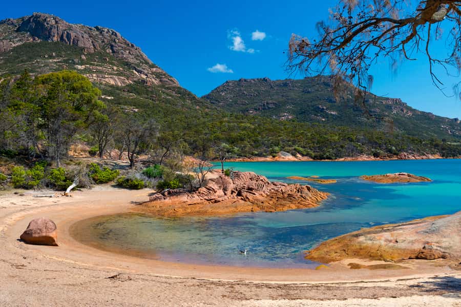 Wineglass Bay & Freycinet National Park Day Trip from Hobart - Wine tasting on the return journey
