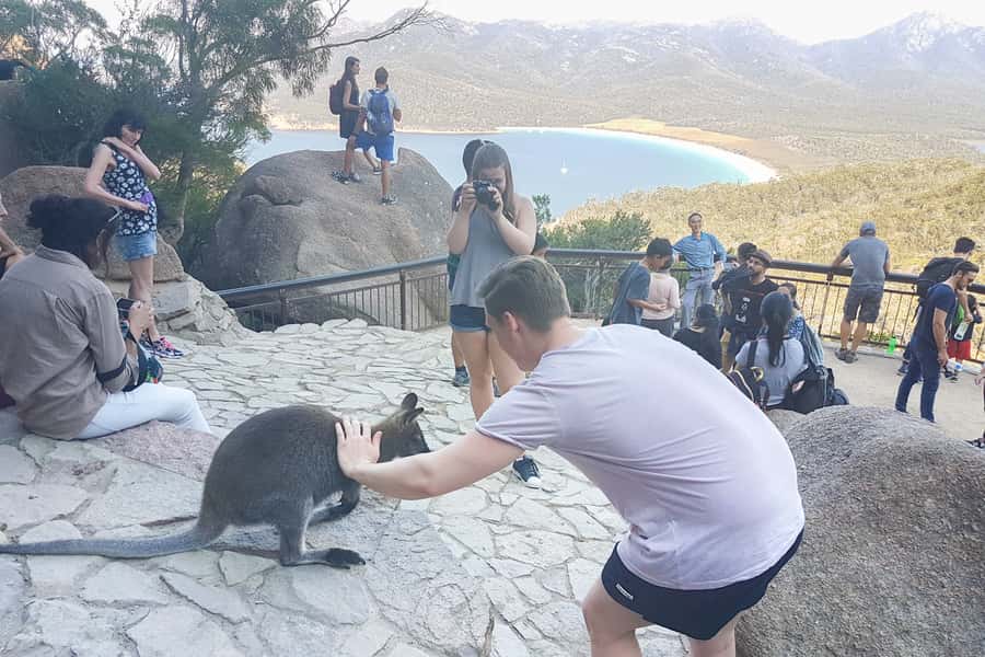 Wineglass Bay & Freycinet National Park Day Trip from Hobart - The road east from Hobart