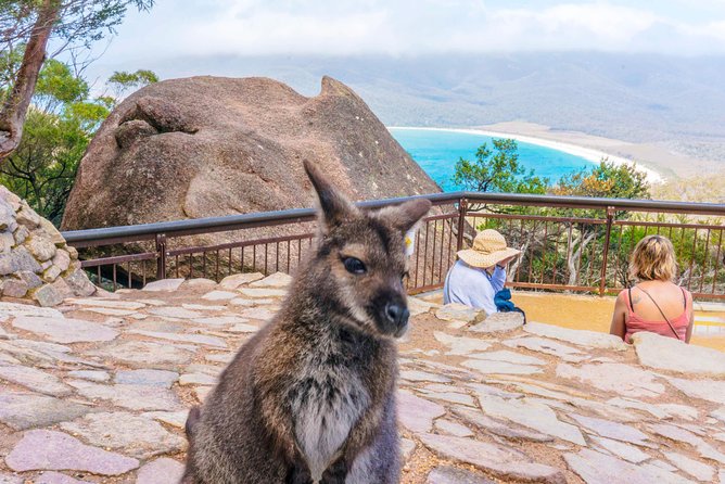 Wineglass Bay & Freycinet NP Full Day Tour from Hobart via Richmond Village - Raspins Beach and the first taste of Maria Island