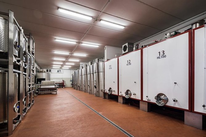 Winemaker for a Day: Tour an Organic Winery - Families, food needs, and practical cautions