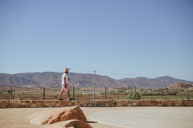 Xecue Wine Tasting in the Guadalupe Valley - Service that feels personal, with one timing warning
