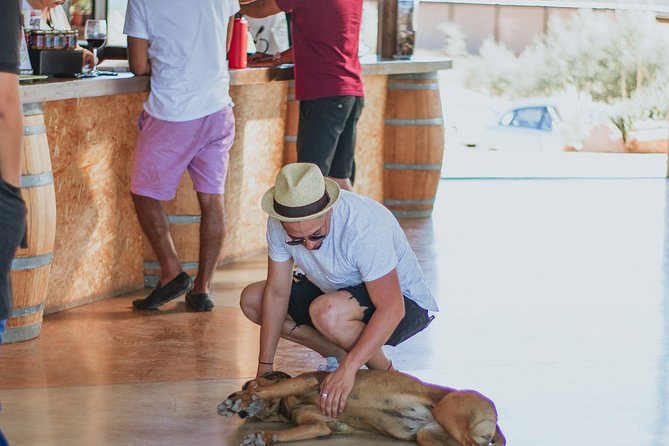 Xecue Wine Tasting in the Guadalupe Valley - Who will get the most from this visit