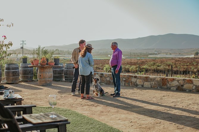 Xecue Wine Tasting in the Guadalupe Valley - Group size, language, and schedule