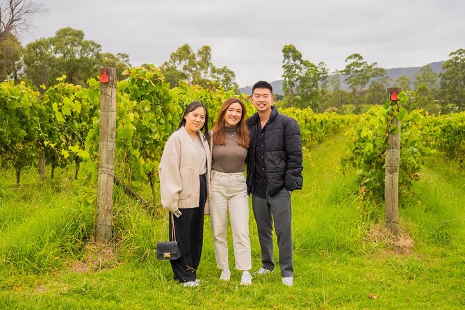 Yarra Valley Grazing Tour Wine, Cheese, Gin, Pizza from Melbourne - Coldstream Dairy brings the farm connection