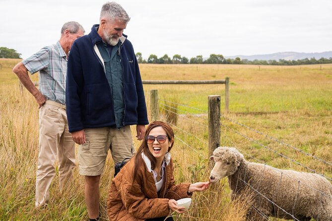 Yarra Valley Grazing Tour Wine, Cheese, Gin, Pizza from Melbourne - Healesville offers a slower hour