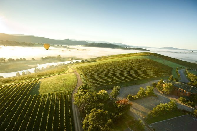 Yarra Valley Wine Day Tour - De Bortoli, a strong first taste of the region