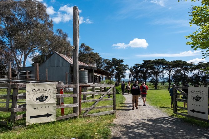 Yarra Valley Wine & Winery Tour from Melbourne - All Inclusive! - Greenstone Vineyards opens the day with broad views