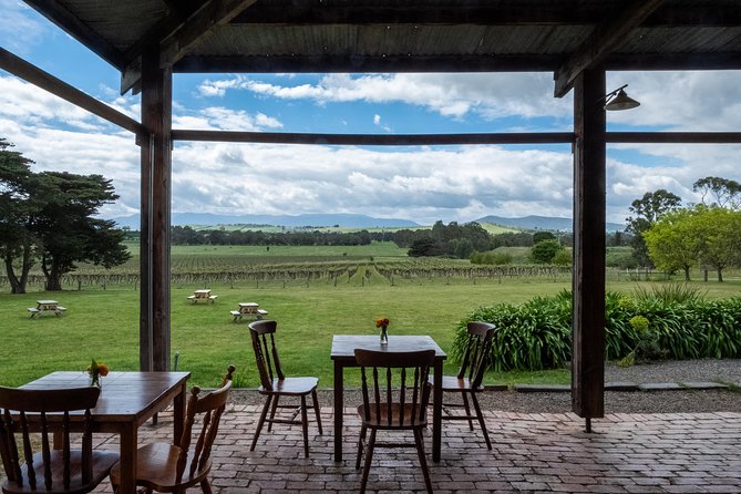 Yarra Valley Wine & Winery Tour from Melbourne - All Inclusive! - The guide can make the bus ride part of the day