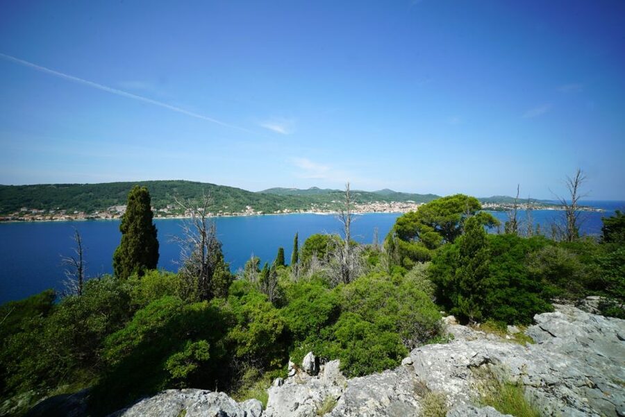 Zadar: Guided Speedboat Tour with Food, Oil & Wine Tasting - What the speedboat ride is really like